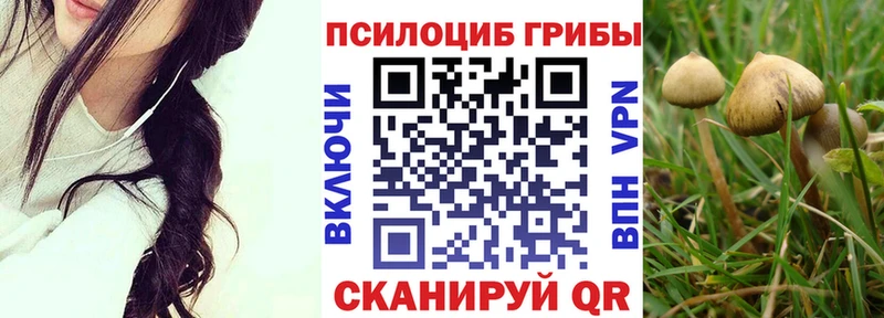 Галлюциногенные грибы MAGIC MUSHROOMS  магазин продажи наркотиков  Всеволожск 